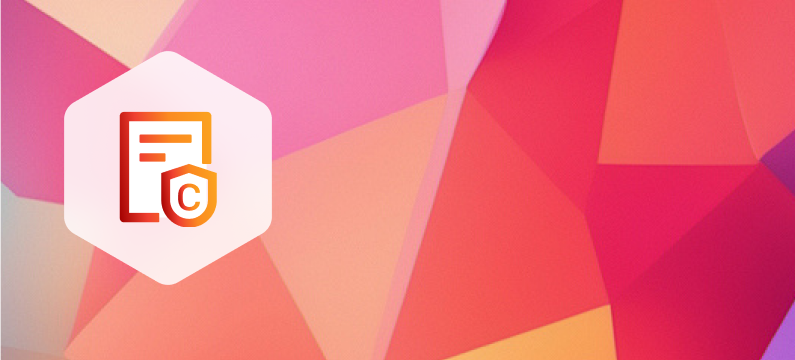 Copyright Protection and Enforcement